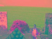 IMGP2868 edited (Medium)